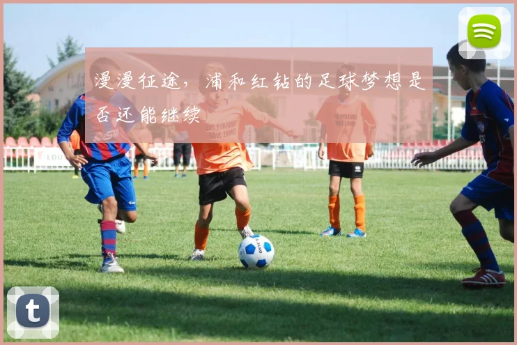 漫漫征途,浦和红钻的足球梦想是否还能继续
